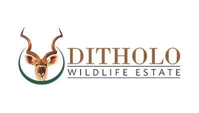 ditholo wildlife estate logo